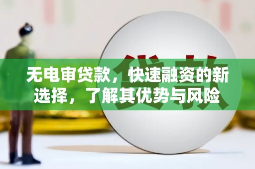 新巴尔虎左旗无电审贷款，快速融资的新选择，了解其优势与风险