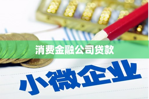 新巴尔虎左旗消费金融公司贷款