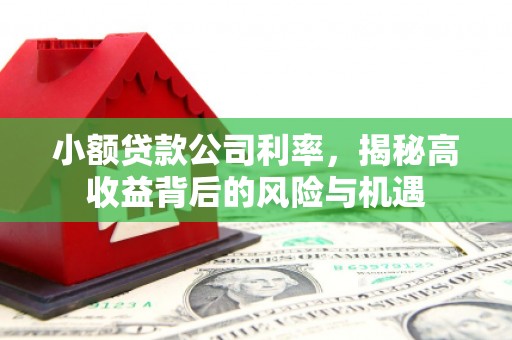 新巴尔虎左旗小额贷款公司利率，揭秘高收益背后的风险与机遇