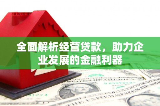 新巴尔虎左旗全面解析经营贷款，助力企业发展的金融利器