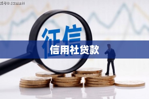 新巴尔虎左旗信用社贷款