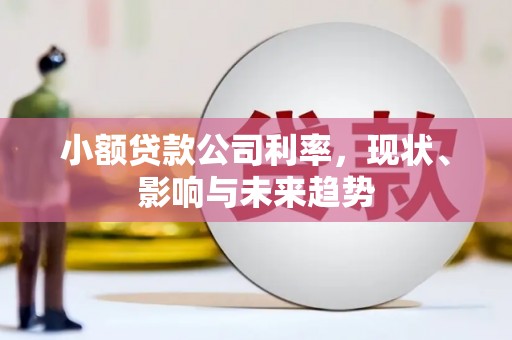 新巴尔虎左旗小额贷款公司利率，现状、影响与未来趋势