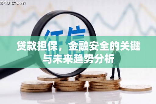 新巴尔虎左旗贷款担保，金融安全的关键与未来趋势分析