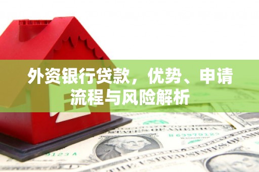 新巴尔虎左旗外资银行贷款，优势、申请流程与风险解析