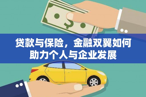 新巴尔虎左旗贷款与保险，金融双翼如何助力个人与企业发展