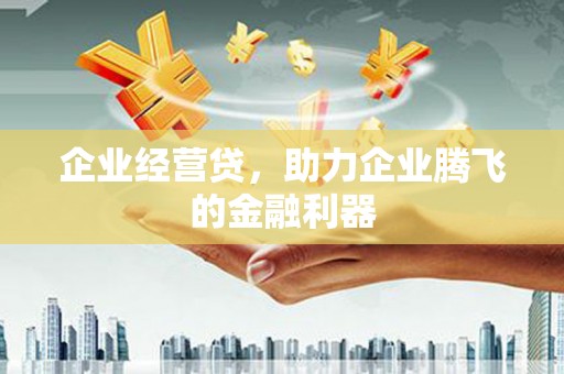 新巴尔虎左旗企业经营贷，助力企业腾飞的金融利器
