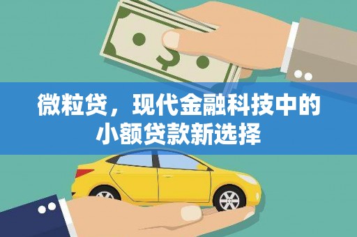 新巴尔虎左旗微粒贷，现代金融科技中的小额贷款新选择