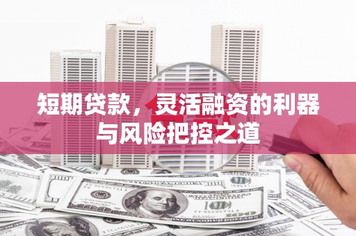新巴尔虎左旗短期贷款，灵活融资的利器与风险把控之道