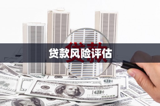 新巴尔虎左旗贷款风险评估