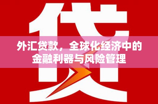 新巴尔虎左旗外汇贷款，全球化经济中的金融利器与风险管理