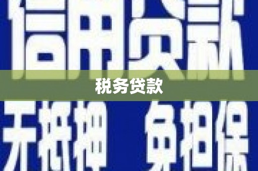 新巴尔虎左旗税务贷款