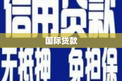 新巴尔虎左旗国际贷款