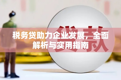 新巴尔虎左旗税务贷助力企业发展，全面解析与实用指南