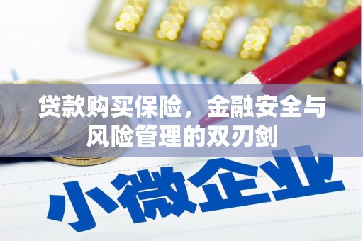 新巴尔虎左旗贷款购买保险，金融安全与风险管理的双刃剑