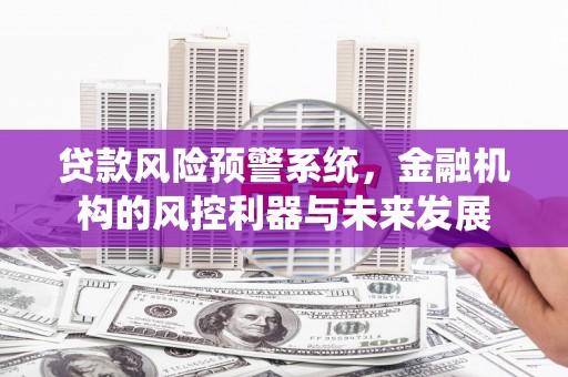 新巴尔虎左旗贷款风险预警系统，金融机构的风控利器与未来发展
