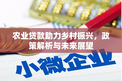 新巴尔虎左旗农业贷款助力乡村振兴，政策解析与未来展望