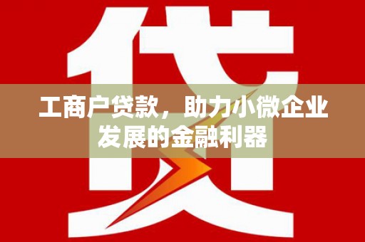 新巴尔虎左旗工商户贷款，助力小微企业发展的金融利器