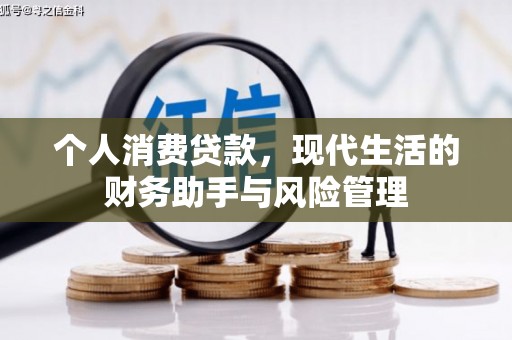 新巴尔虎左旗个人消费贷款，现代生活的财务助手与风险管理