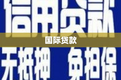 新巴尔虎左旗国际贷款