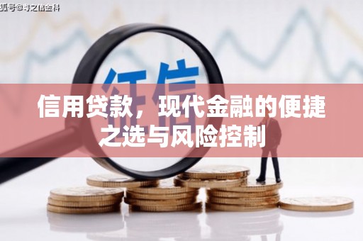 新巴尔虎左旗信用贷款，现代金融的便捷之选与风险控制