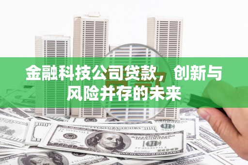 新巴尔虎左旗金融科技公司贷款，创新与风险并存的未来