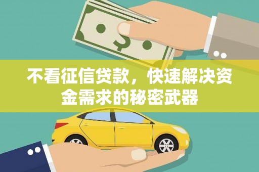 新巴尔虎左旗不看征信贷款，快速解决资金需求的秘密武器