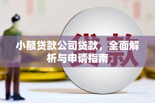 新巴尔虎左旗小额贷款公司贷款，全面解析与申请指南