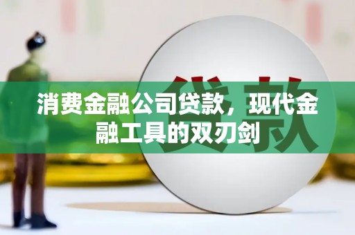 新巴尔虎左旗消费金融公司贷款，现代金融工具的双刃剑