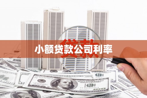 新巴尔虎左旗小额贷款公司利率