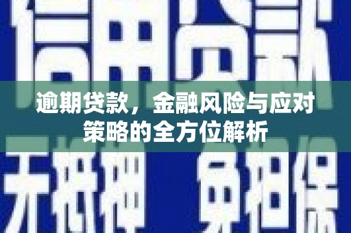新巴尔虎左旗逾期贷款，金融风险与应对策略的全方位解析