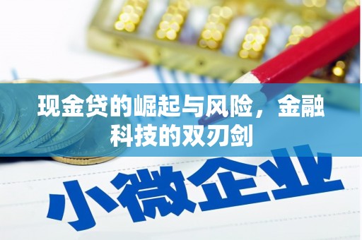 新巴尔虎左旗现金贷的崛起与风险，金融科技的双刃剑