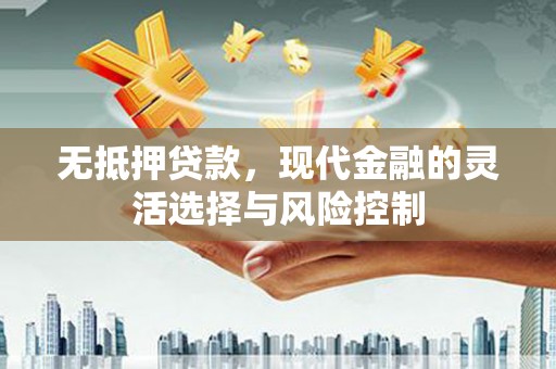 新巴尔虎左旗无抵押贷款，现代金融的灵活选择与风险控制