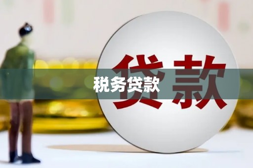 新巴尔虎左旗税务贷款