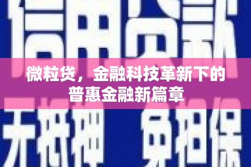 新巴尔虎左旗微粒贷，金融科技革新下的普惠金融新篇章