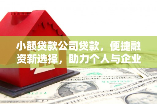 新巴尔虎左旗小额贷款公司贷款，便捷融资新选择，助力个人与企业成长