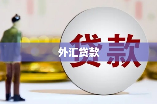 新巴尔虎左旗外汇贷款