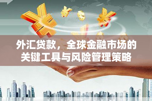 新巴尔虎左旗外汇贷款，全球金融市场的关键工具与风险管理策略
