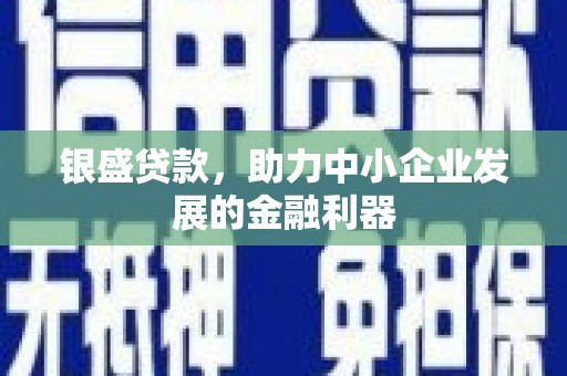 新巴尔虎左旗银盛贷款，助力中小企业发展的金融利器