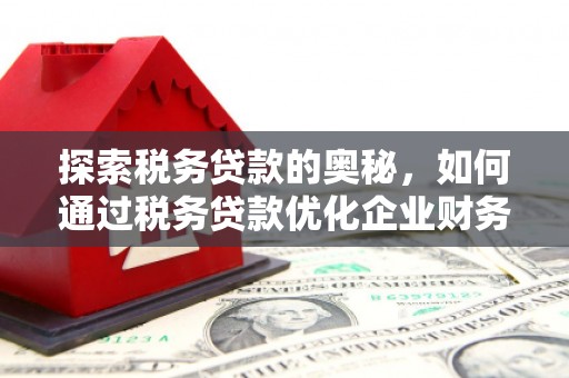 新巴尔虎左旗探索税务贷款的奥秘，如何通过税务贷款优化企业财务