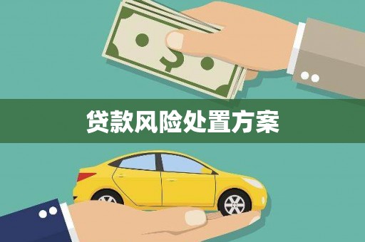 新巴尔虎左旗贷款风险处置方案