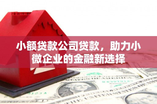新巴尔虎左旗小额贷款公司贷款，助力小微企业的金融新选择