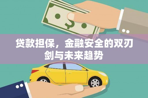 新巴尔虎左旗贷款担保，金融安全的双刃剑与未来趋势