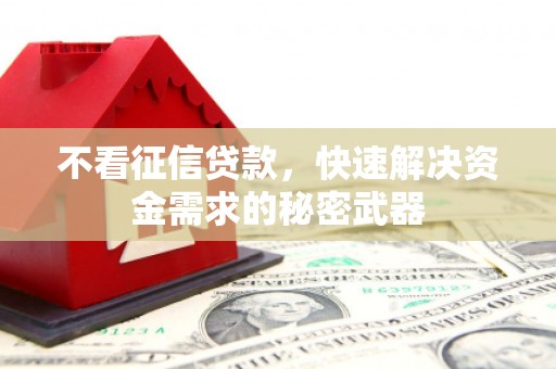新巴尔虎左旗不看征信贷款，快速解决资金需求的秘密武器