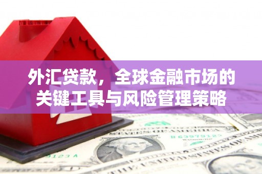 新巴尔虎左旗外汇贷款，全球金融市场的关键工具与风险管理策略
