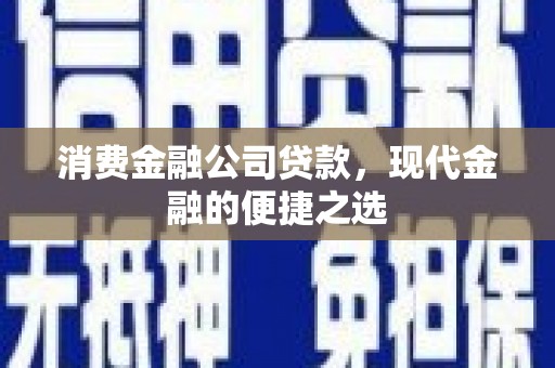 新巴尔虎左旗消费金融公司贷款，现代金融的便捷之选