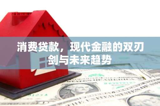 新巴尔虎左旗消费贷款，现代金融的双刃剑与未来趋势