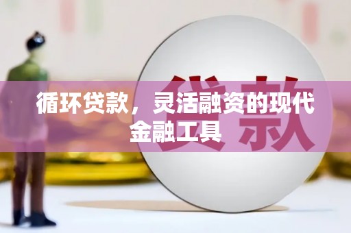 新巴尔虎左旗循环贷款，灵活融资的现代金融工具