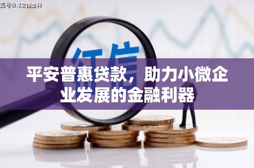 新巴尔虎左旗平安普惠贷款，助力小微企业发展的金融利器