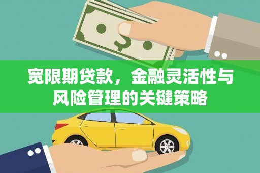 新巴尔虎左旗宽限期贷款，金融灵活性与风险管理的关键策略