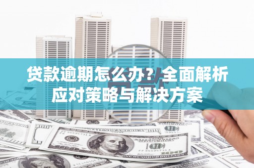 新巴尔虎左旗贷款逾期怎么办？全面解析应对策略与解决方案
